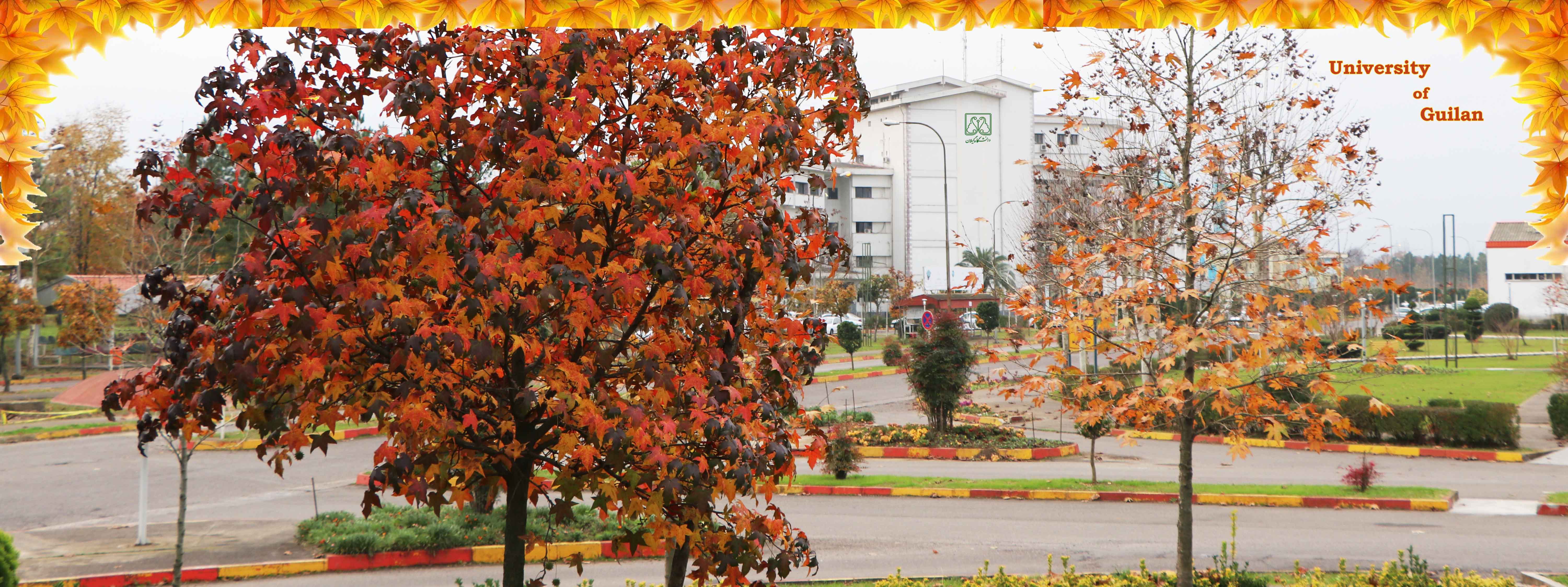 تصویر کوچک